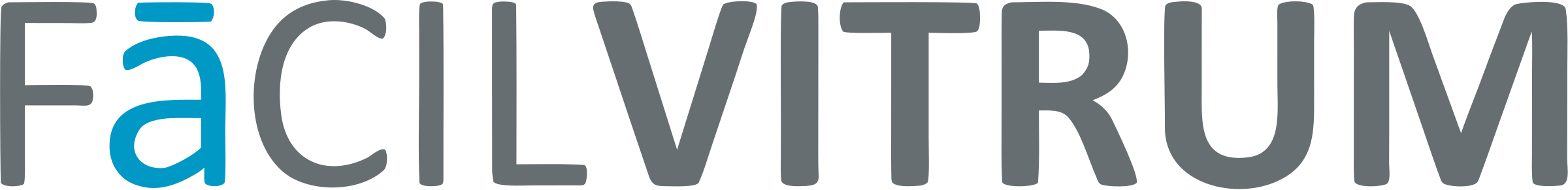 FacilVitrum
